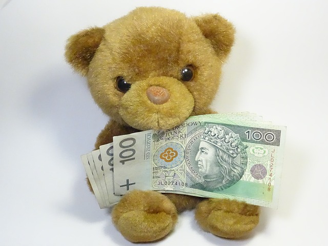 medvěd a peníze